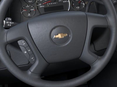 2025 Chevrolet Express Passenger 3500 1LS